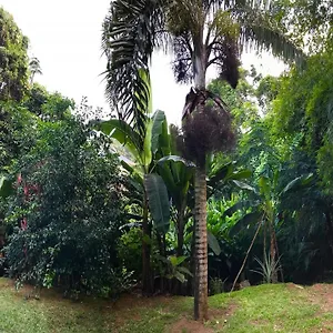 La Nature Au Cap